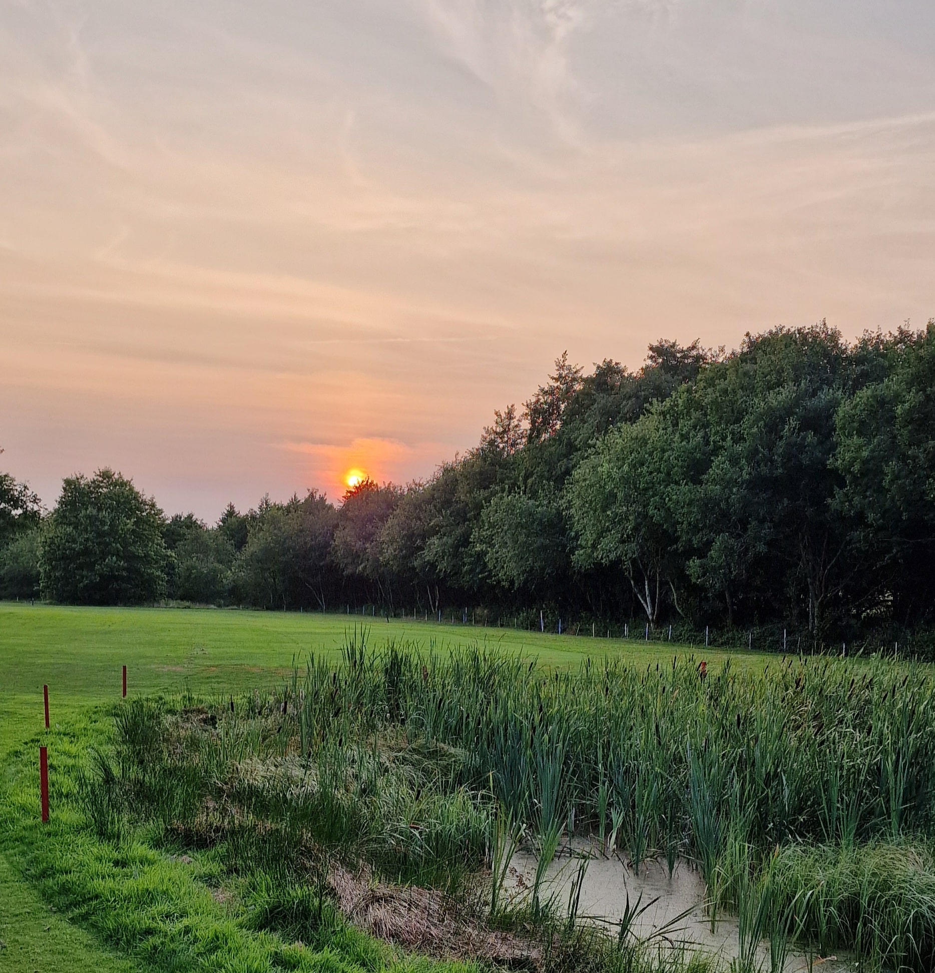 Der Sommerabend am Meer in Cuxhaven